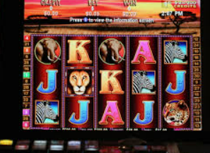 HB火博·体育官方正版手游免费版