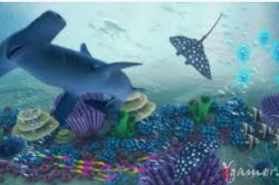 HB火博·体育官方正版手游